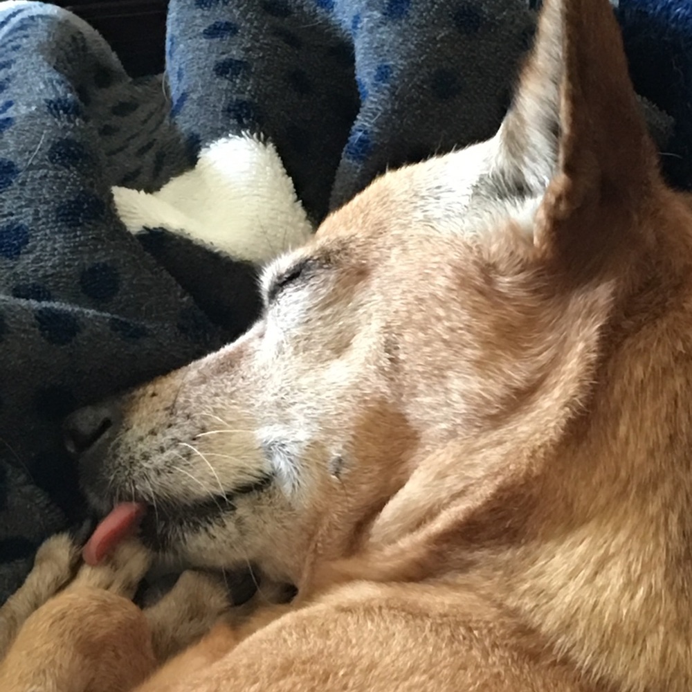 Meet your Posher, Heather